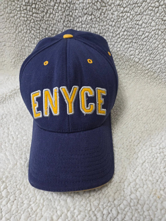 Enyce Vintage Fitted Adult  Hat POS Nerds