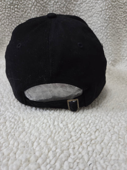 2005 Houston Astros National League Champions World Series Baseball Hat Cap