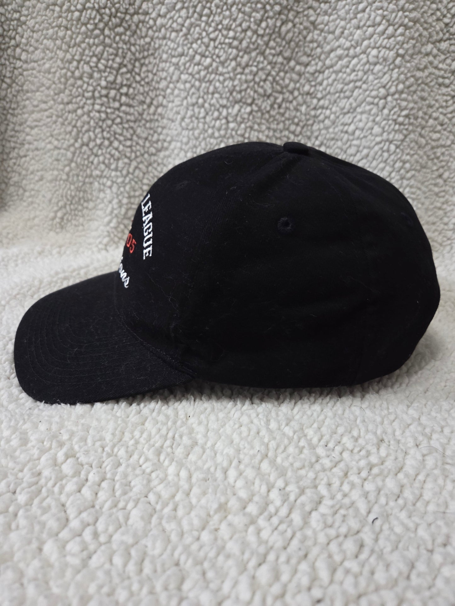 2005 Houston Astros National League Champions World Series Baseball Hat Cap