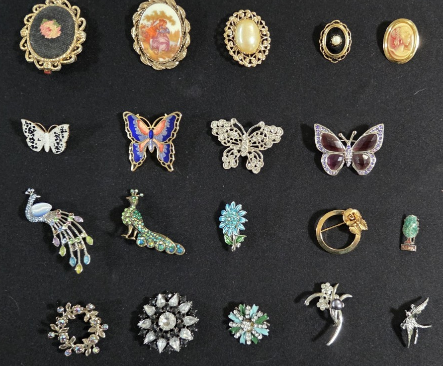 Lot of 19 ~ Vintage Broochs ~ Butterfly Peacock Cameo Rhinestone Enamel Pins POS Nerds