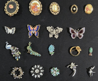 Lot of 19 ~ Vintage Broochs ~ Butterfly Peacock Cameo Rhinestone Enamel Pins POS Nerds