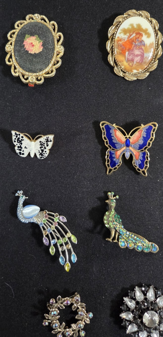 Lot of 19 ~ Vintage Broochs ~ Butterfly Peacock Cameo Rhinestone Enamel Pins POS Nerds