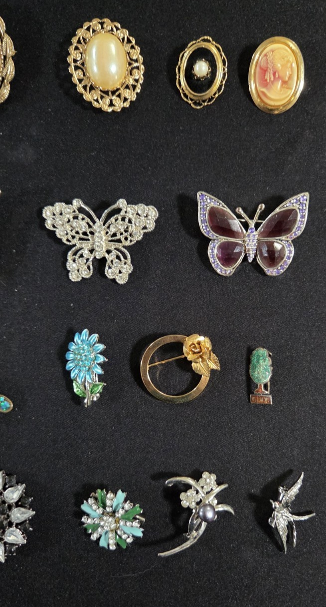 Lot of 19 ~ Vintage Broochs ~ Butterfly Peacock Cameo Rhinestone Enamel Pins POS Nerds