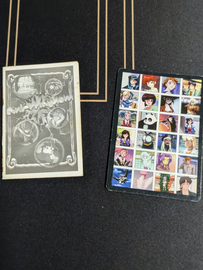 Vintage Ani-Mayhem CCG - 497 Card Lot (1995/1996 Pioneer) – Massive Collection! POS Nerds